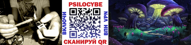 Купить закладки  Терек  Галлюциногенные грибы мухоморы 