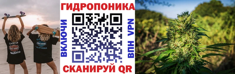 Марихуана план Купить где Терек